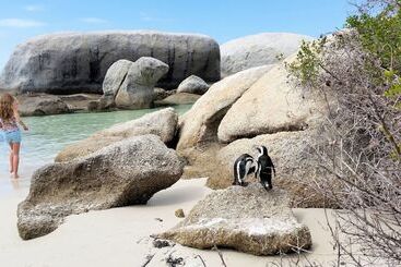 Hout Bay Beach Cottage