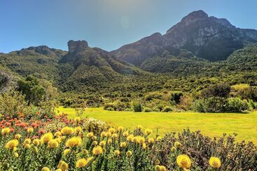 Hout Bay Beach Cottage