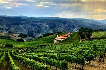 Quinta Dos Espinheiros