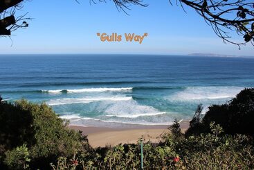 Gulls Way