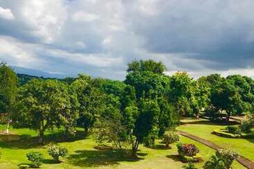 هتل Paradise Reggae Resort