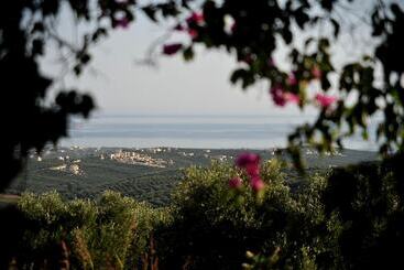 Elia Traditional Hotel & Spa