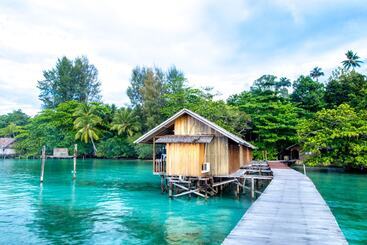 هتل Hamueco Dive Resort Raja Ampat