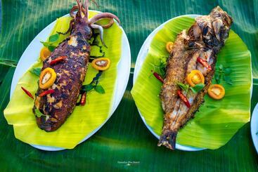 هتل Hamueco Dive Resort Raja Ampat