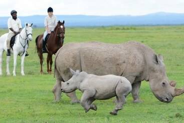 هتل Kicheche Laikipia Camp