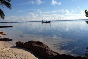 Turtle Beach Cottages