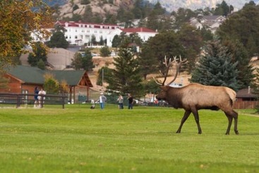 هتل Alpine Trail Ridge Inn