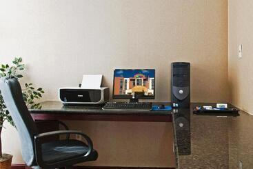 Holiday Inn Express Hotel & Suites Dallas Fort Worth Airport South, An Ihg