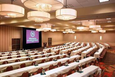 酒店 Sheraton Albuquerque Airport