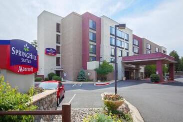 هتل Springhill Suites By Marriott Flagstaff