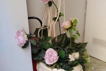 Domus Al Corso Con Servizio B&b