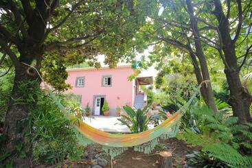 پانسیون Madeira Surf Lodge