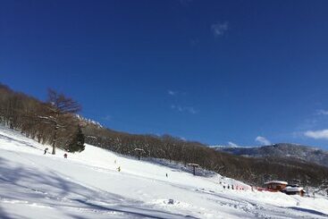 هتل Lodge Christmas Rose Zao