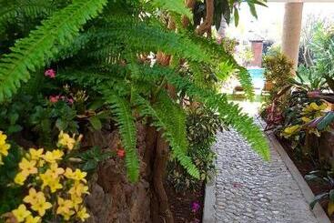 مسافرخانه Quinta Real Las Palmas Malinalco
