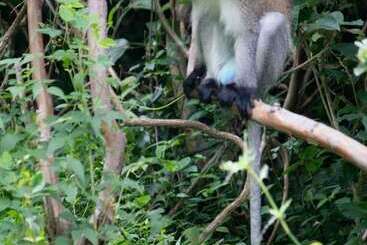 هتل Macheo Ecolodge Camping
