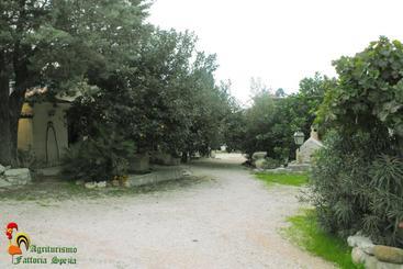 Сельский дом Agriturismo Fattoria Spezia