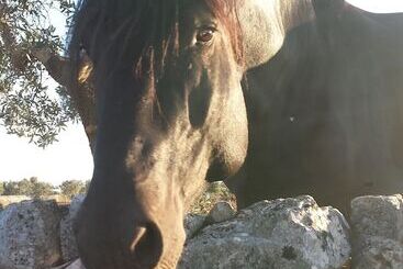 هتل روستایی Masseria Gianca