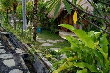 Жильё для туристов Mas Village Resort