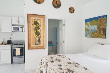 Sunflower Oasis