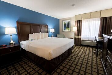 Baymont By Wyndham Detroit Airport/romulus