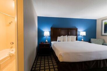 Baymont By Wyndham Detroit Airport/romulus