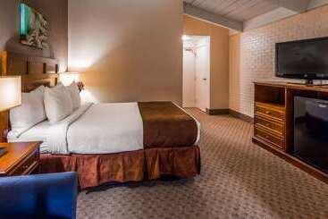 酒店 Best Western Adams Inn Quincy Boston