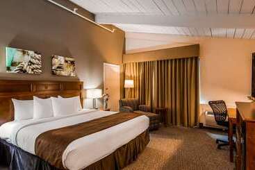 Hotel Best Western Adams Inn Quincy Boston