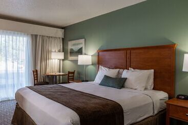 هتل Best Western Buffalo Ridge Inn Near Mt Rushmore
