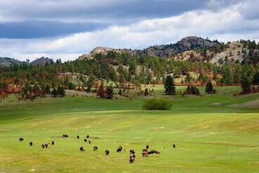 هتل Best Western Buffalo Ridge Inn Near Mt Rushmore