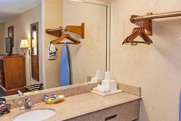 هتل Downtowner Inn And Suites Hobby
