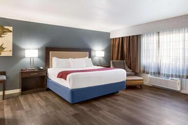 هتل Best Western Mountain View Inn