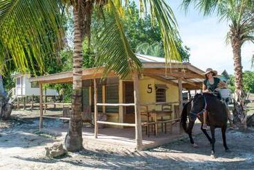 هاستل Horse Cottage