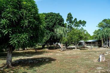 هاستل Horse Cottage