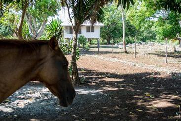 هاستل Horse Cottage