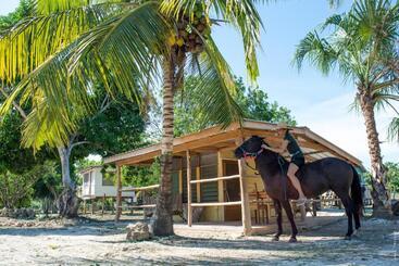هاستل Horse Cottage