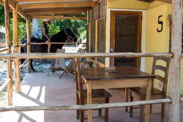 هاستل Horse Cottage