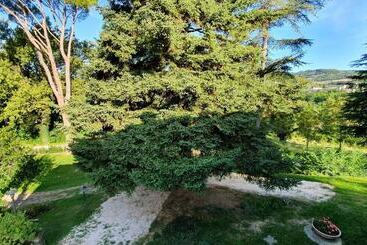 تختخواب و صبحانه Affittacamere Villa Molinello
