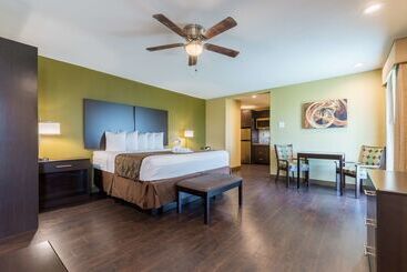 酒店 Best Western Padre Island