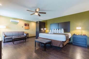 酒店 Best Western Padre Island