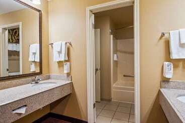 ホテル Surestay Plus By Best Western San Antonio Fiesta Inn
