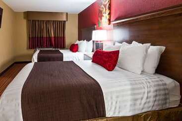 ホテル Surestay Plus By Best Western San Antonio Fiesta Inn