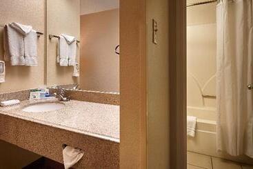 ホテル Surestay Plus By Best Western San Antonio Fiesta Inn