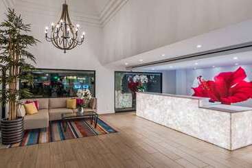Отель Best Western Plus Las Brisas