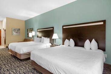 فندق Best Western Plus Mcdonough Inn & Suites