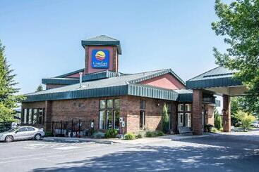 هتل Comfort Inn & Suites