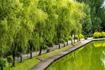 Отель Innature.hanyang