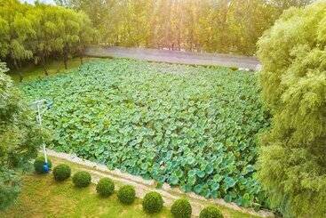 Отель Innature.hanyang