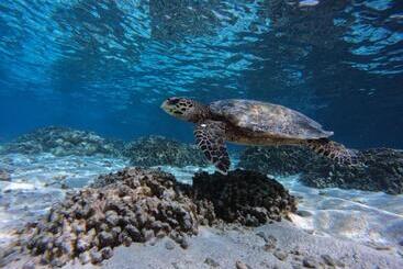 پانسیون Blue Water Thoddoo Inn