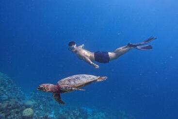 پانسیون Blue Water Thoddoo Inn