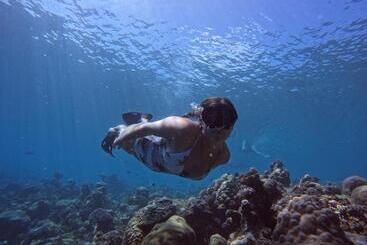 پانسیون Blue Water Thoddoo Inn